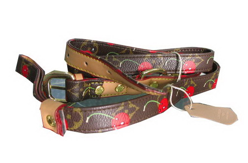 dog leash, pet leash, dog collar & leash--Globaltextiles.com