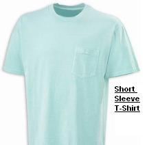 Short Sleeve T-Shirt--Globaltextiles.com
